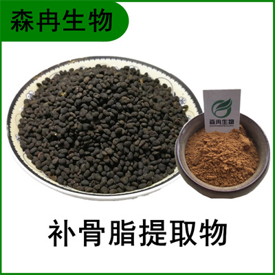 森冉生物 补骨脂提取物 破故纸提取物 比例提取原料粉