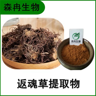 森冉生物 返魂草提取物 青苑提取物 比例提取原料粉