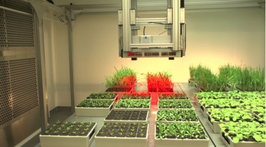 PlantScreen高通量植物表型成像分析系统
