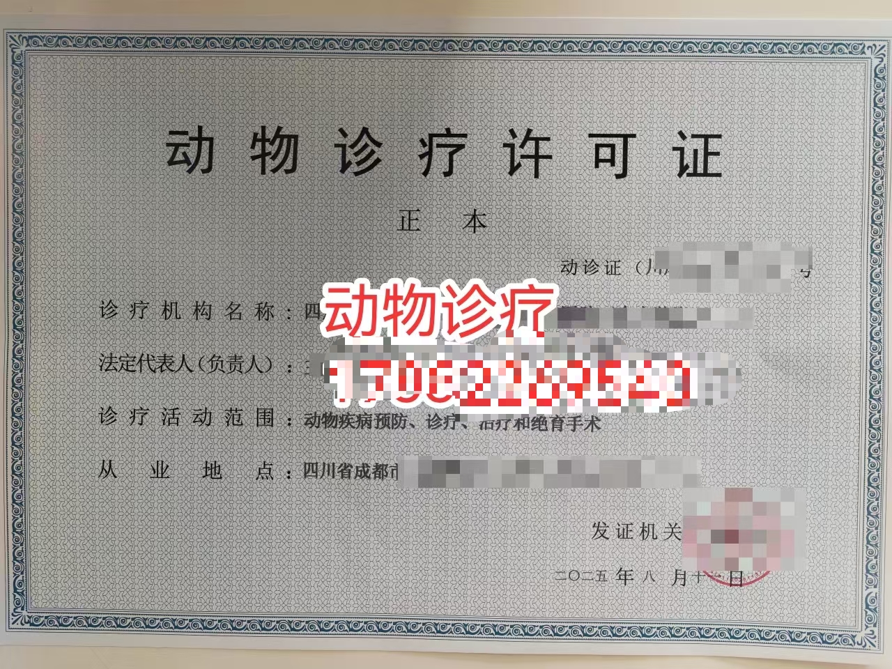 我要开动物诊疗机构四川成都市需要办理的手续