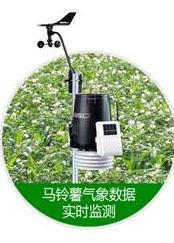 马铃薯晚疫病预警系统