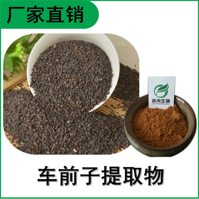 森冉生物 车前子提取物 车前实提取物 比例提取原料粉