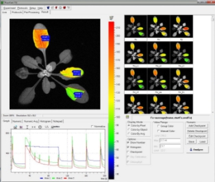 便携式 FluorCam FC 1000-H/ GFP叶绿素荧光成像仪 便携式 FluorCam FC 1000-H/ GFP叶绿素荧光成像仪