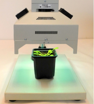 便携式 FluorCam FC 1000-H/ GFP叶绿素荧光成像仪 便携式 FluorCam FC 1000-H/ GFP叶绿素荧光成像仪