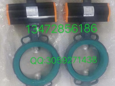 原装进口依博罗衬胶蝶阀EBRO气动执行器EB8.1SYD