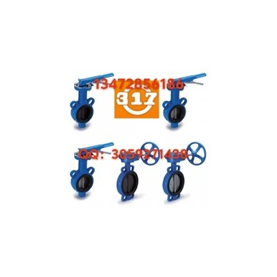 速发货规格齐全原装正品台湾317铸钢蝶阀