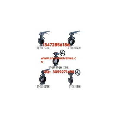 速发货规格齐全原装正品台湾317铸铁蝶阀