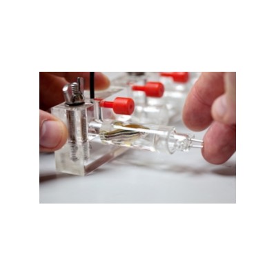 斑马鱼呼吸代谢测量系统