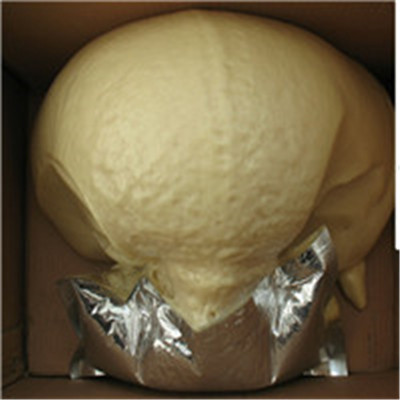 年后焕新MLS系列袋装马丽散刻不容缓