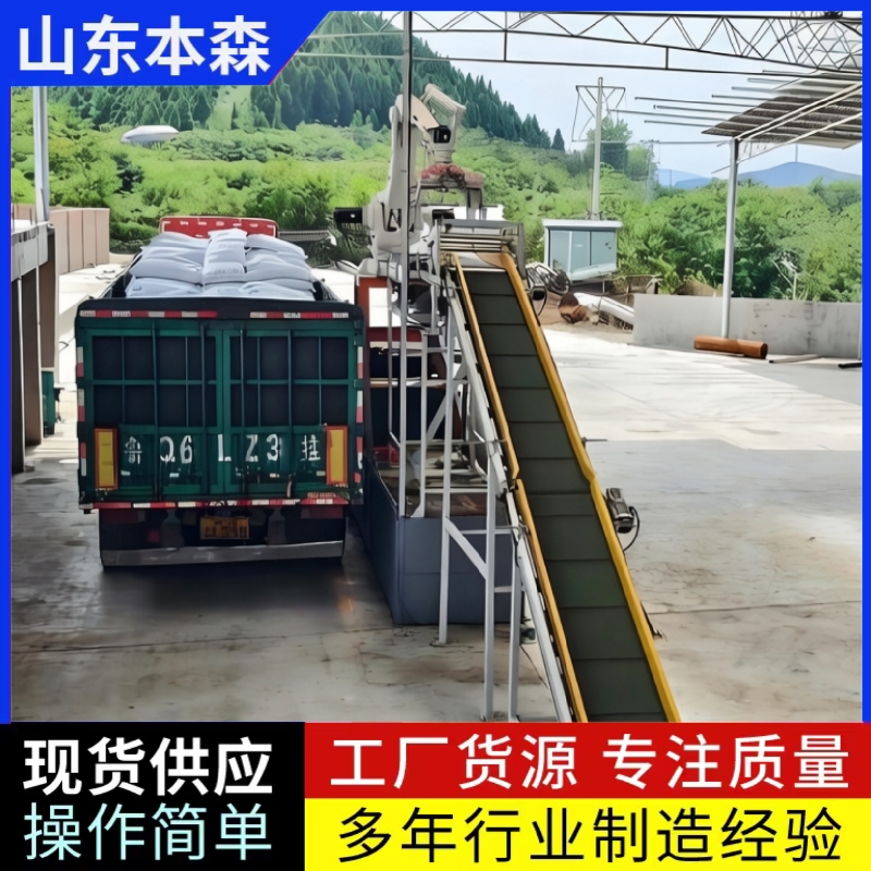 全自动码垛机器人装车系统