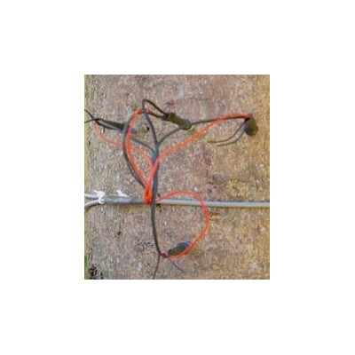 SF-L探针式茎流(液流)传感器