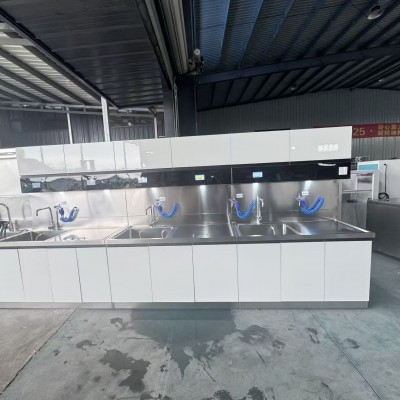 内镜清洗设备不锈钢软硬镜带吊柜清洗水槽