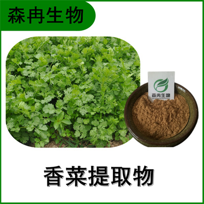 森冉生物 香菜提取物 芫荽提取物 比例提取原料粉