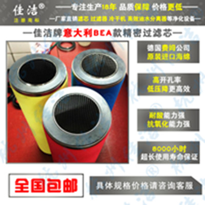 BEA系列精密滤芯ARS-100RF ARS-100RB